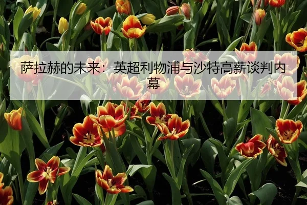 萨拉赫的未来：英超利物浦与沙特高薪谈判内幕