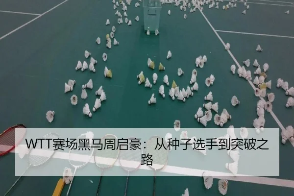 WTT赛场黑马周启豪：从种子选手到突破之路