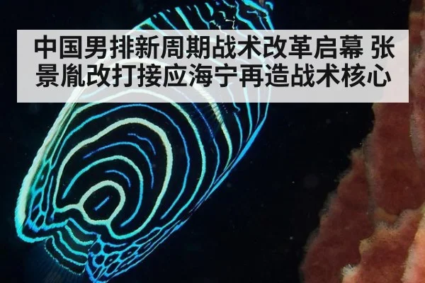 中国男排新周期战术改革启幕 张景胤改打接应海宁再造战术核心